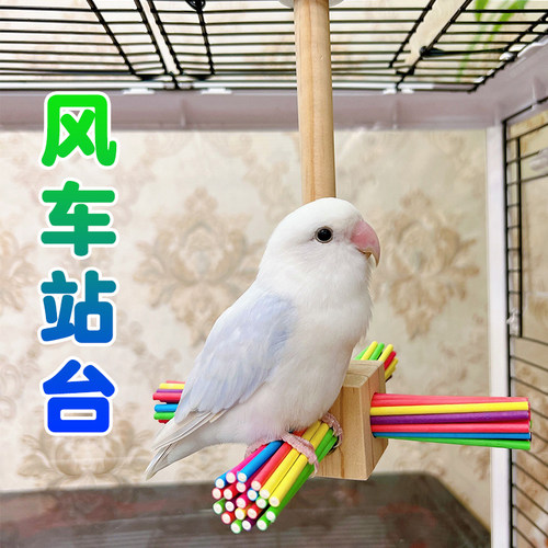 鹦鹉站杆原创手工玩具益智玩耍