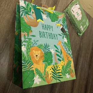 订单库存加大号竖版彩虹条纹生日礼物回礼手拎袋环保购物纸袋子