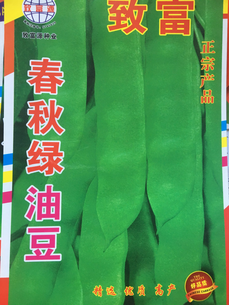 春秋绿油豆种子大宽油豆角黑龙江油豆角种子早熟成熟期45天蔬菜孑