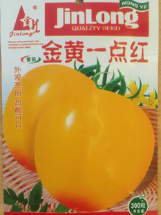 金黄一点红番茄种子庭院阳台盆栽食用蔬菜种籽瓜果种子大黄西红柿