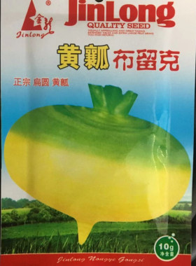 蔬菜圆盘苤蓝种子