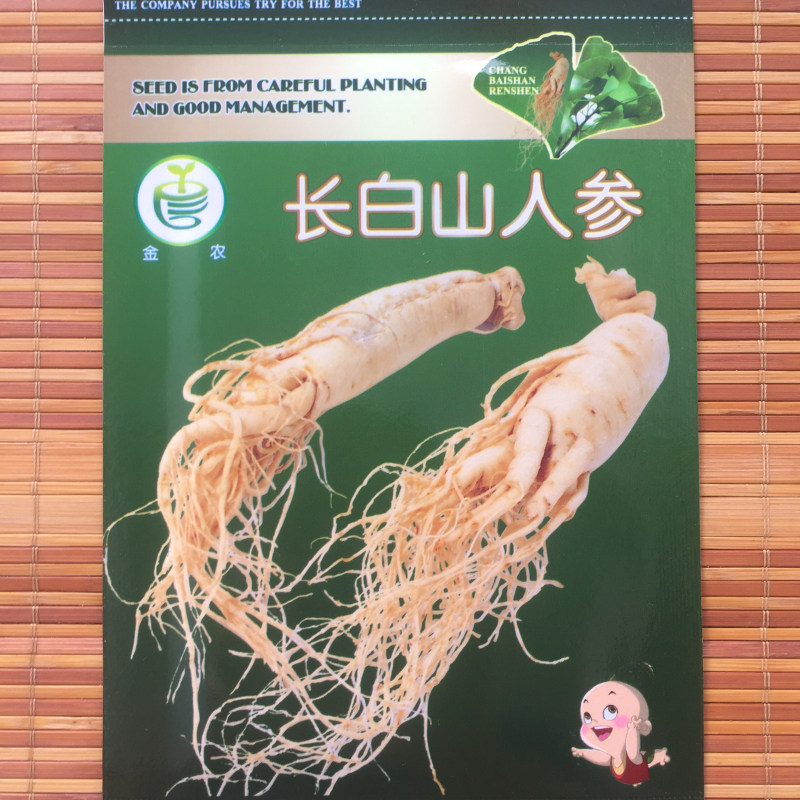 长白山人参中药材花卉盆栽种子图片