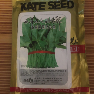 泰国柳叶空心菜种子水种蕹菜种子通菜籽耐热四季阳台大叶蔬菜种孑