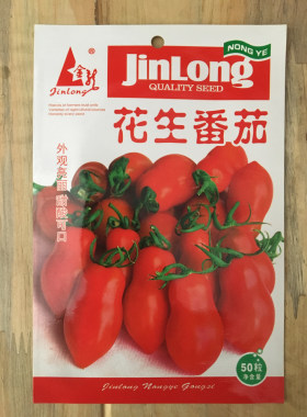 盆栽四季种植小番茄
