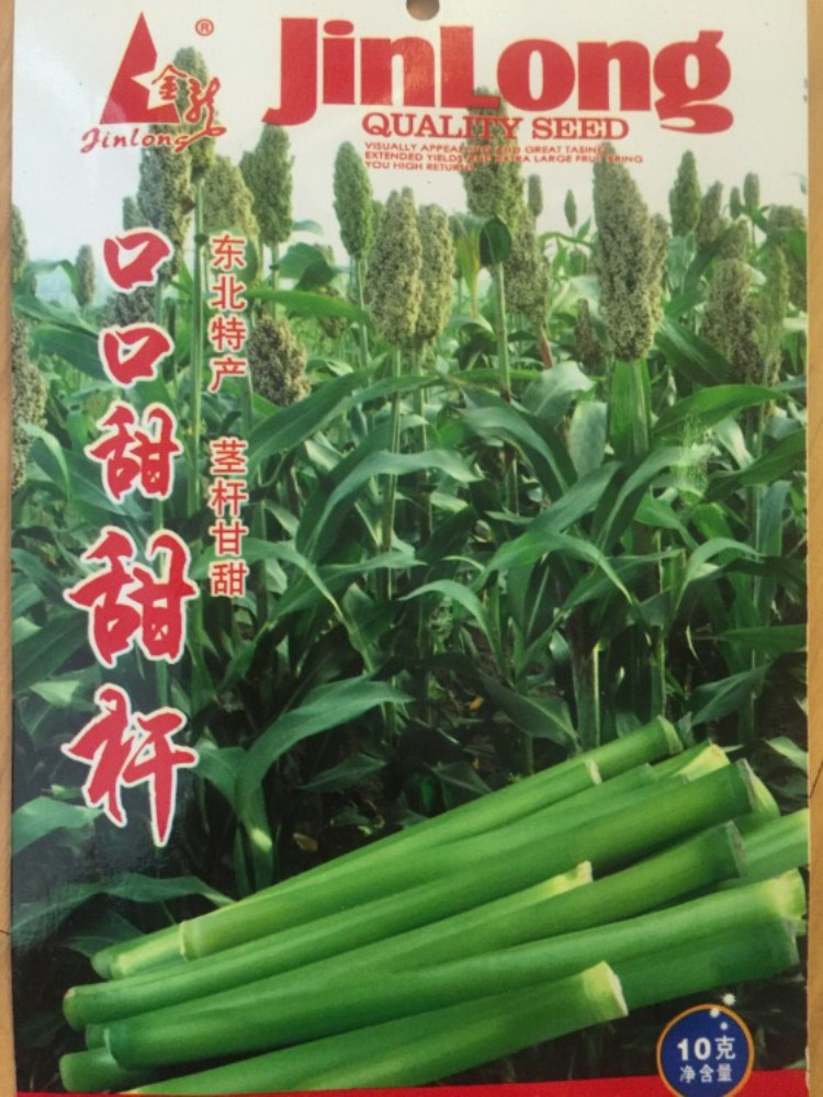 北方甘蔗种甜杆种孑糖高粱种子脆甜多汁甜高粱芦栗甜秫秸水果散装