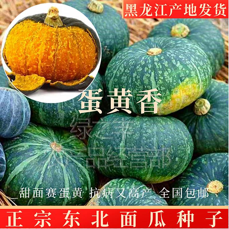 谢花面南瓜种谢花面南瓜种