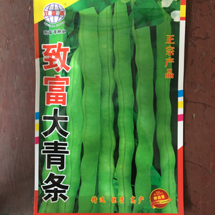 大青条豆角种子泰国豆长豆角东北豆角种籽泰国特长架豆无丝豆芸豆