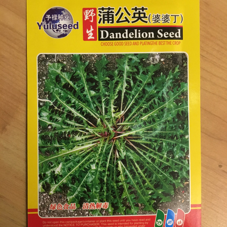 野生婆婆丁种籽蒲公英桔梗北黄芪板蓝根马齿笕苦曲麻菜荠荠菜种子
