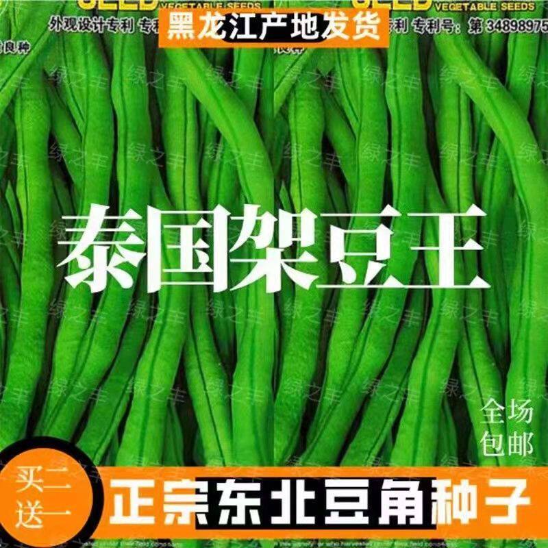 【泰国架豆王【泰国架豆王