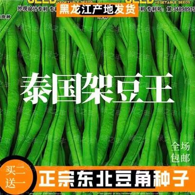 【泰国架豆王【泰国架豆王