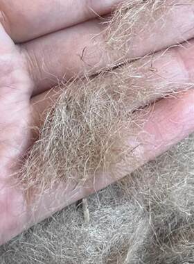 短切麻丝黄麻雕塑白灰抹墙麻灰