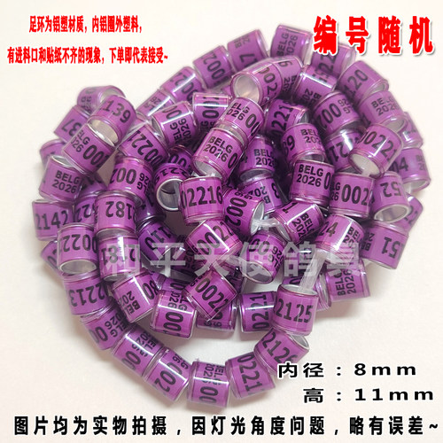 鸽环脚箍鸽子用品鸽具2026年无证外国足环信鸽识别记号环鸽子脚环