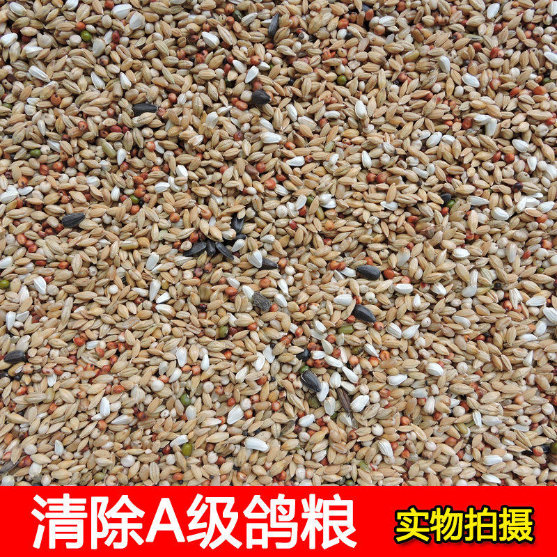 包邮5斤鸽子清除饲料信鸽换毛期专用幼鸽营养粮肉观赏鸽斑鸠鸟食