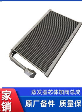 徐工装载机铲车原厂AXGAY40089 蒸发器芯体加阀总成860163206