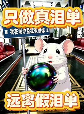手游端游寻宝鼠搜物资/巡宝鼠陪跑/PC端游手游/导盲犬