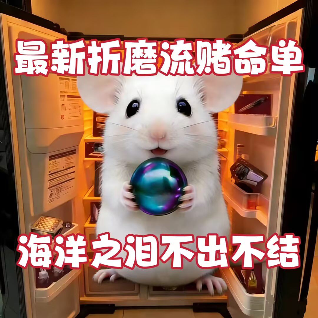 寻宝鼠手游寻宝鼠端游搜物资/巡宝鼠陪跑/PC端游手游/导盲犬/陪玩图片