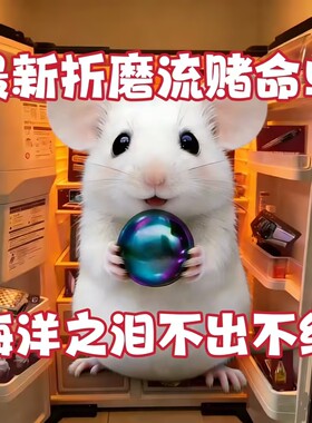 手游端游寻宝鼠搜物资/巡宝鼠陪跑/PC端游手游/导盲犬
