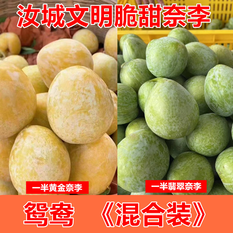 汝城文明黄金翡翠奈李奈双拼
