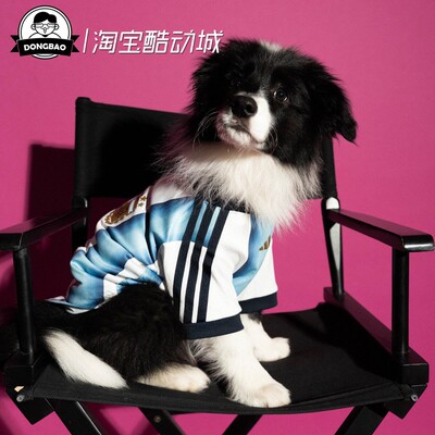 5月ADIDAS阿迪达斯舒适阿根廷队世界杯宠物球衣短袖T恤衣服KY5147