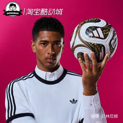 FIFA世界杯决赛阶段官方比赛用球
