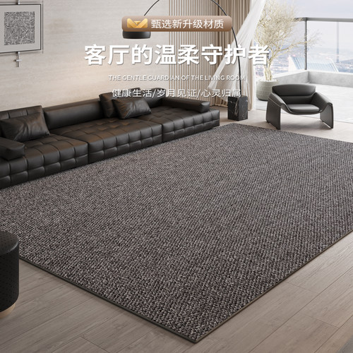 红鹤2026新款耐磨耐脏客厅地毯