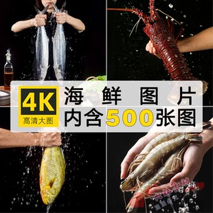 高清海鲜市场生猛海鲜活海鲜高清图水产海鱼摆拍JPG图片设计素材
