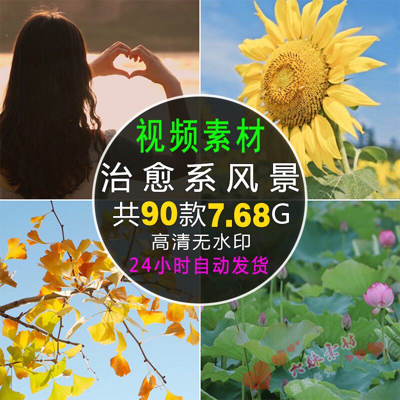 高清唯美治愈系风景花草向日葵荷花高清摄影自媒体视频无水印素材