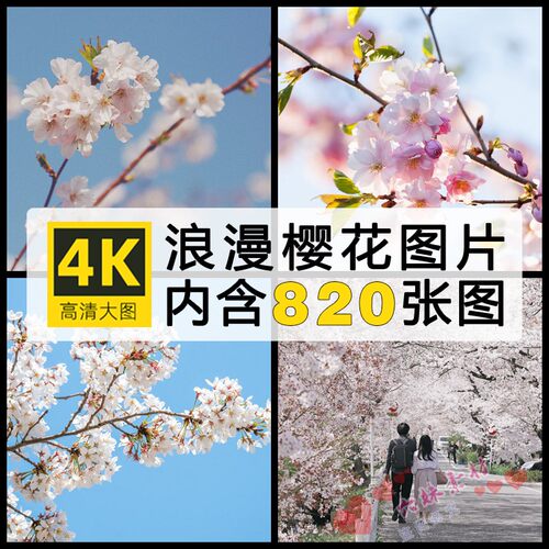 高清4K图库 日系浪漫樱花树花朵自媒体设计图片手机电脑壁纸素材