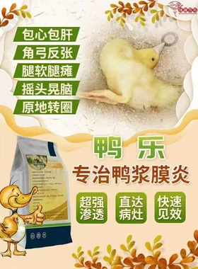 【鸭乐】鸭鹅浆膜炎鸭摇头晃脑鹅脚软脚鸭包心包肝大肠杆菌翻跟斗
