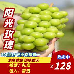 正宗句容丁庄葡萄精选阳光玫瑰晴王香味新鲜现摘孕妇爆甜水果