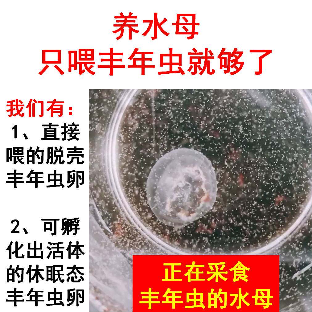 免孵化脱壳丰年虾卵鱼食丰年虫卵观赏鱼饲料