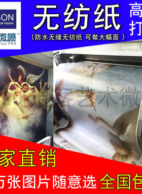 包邮个性定制无纺纸装饰画芯喷绘厂家定做高清微喷打印墙画壁画