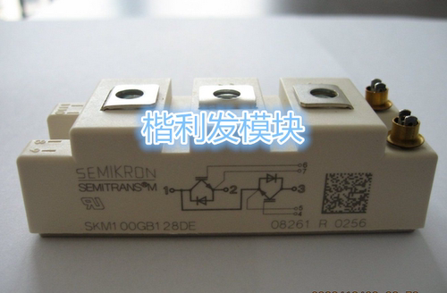 SKM100GB128DE SKM100GB123D SKM100GB128D原装拆机全新