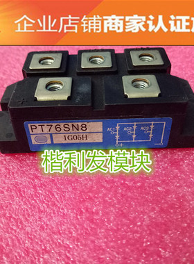 PT100SN16 PT76SN16 PT100SN8 PT76SN8