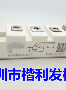 SKM145GAL123D SKM145GAL124D SKM145GAL126D SKM145GAL128D