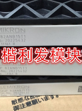 SKIIP82ANB15T1 SKIIP81ANB15T1 SKIIP81AC121T1 SKIIP81AC15T1