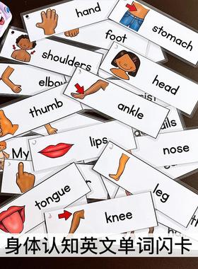 身体四肢五官认知闪卡英文单词卡片英语早教启蒙手工diy制作教具