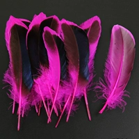 Около 20 розовых красных