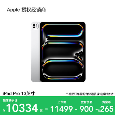 Apple/苹果iPadPro13英寸