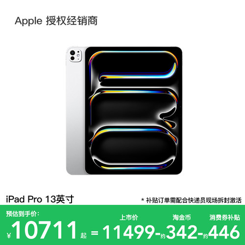 Apple/苹果iPadPro13英寸