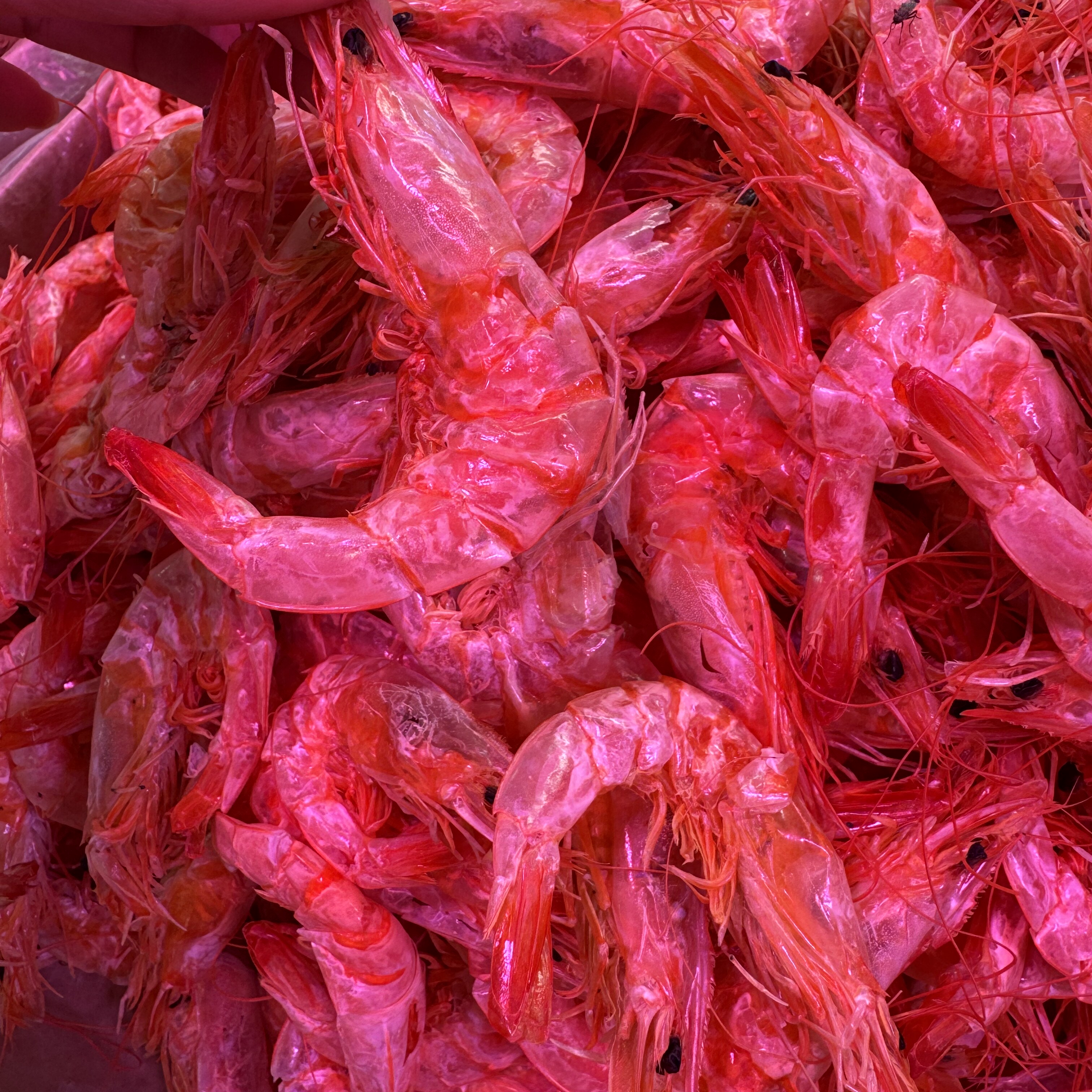 温州特产即食烤虾炭烤对虾海鲜零食烤虾干干货冷冻大烤虾一包500g