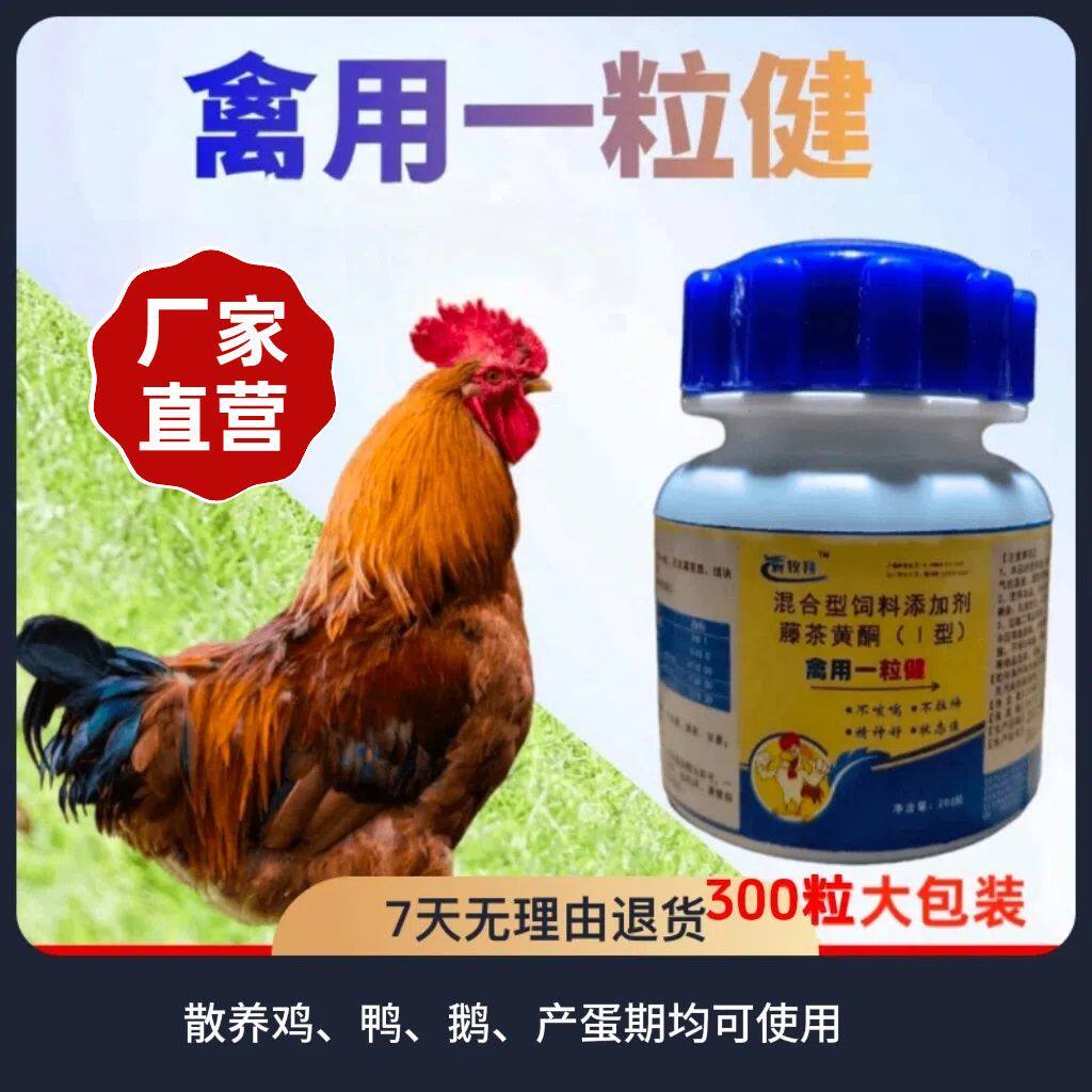 鸡鸭鹅禽专用急救一粒健大包装张嘴喘呼噜呼吸道肠道问题禽一片