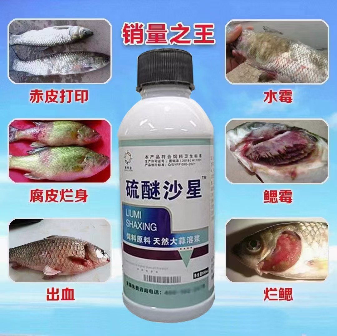 水产养殖硫醚沙星流迷水霉净鱼水霉鳃霉腐皮烂身水杨酸水霉病