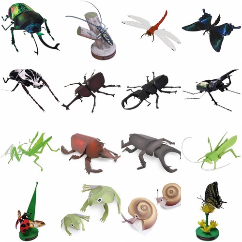 diy手工昆虫纸模纸乐多