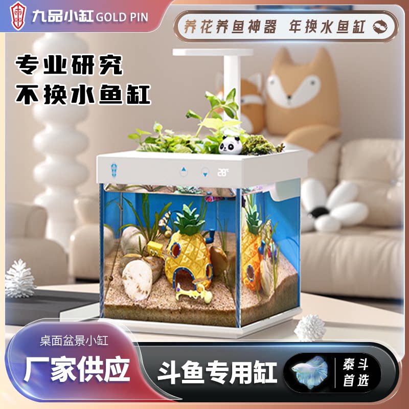 九品小森森林生态缸小型桌面超白玻璃斗鱼缸过滤制氧一体机金鱼缸