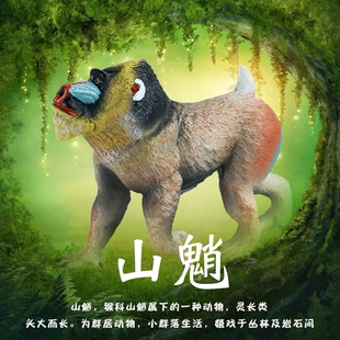 儿童仿真动物玩具山魈模型鬼狒狒猕猴实心套装男孩认知手办摆件
