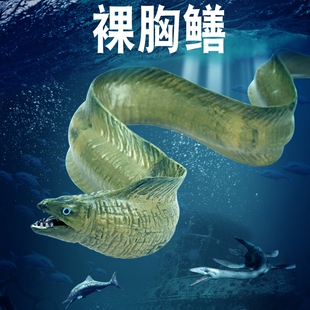 儿童海洋生物玩具裸胸鳝模型深海底海鳗仿真动物鳗鱼套装认知手办