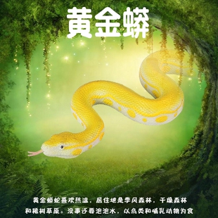 儿童仿真动物玩具黄金蟒模型软胶大蟒蛇爬行巨蟒男孩认知科普假蛇