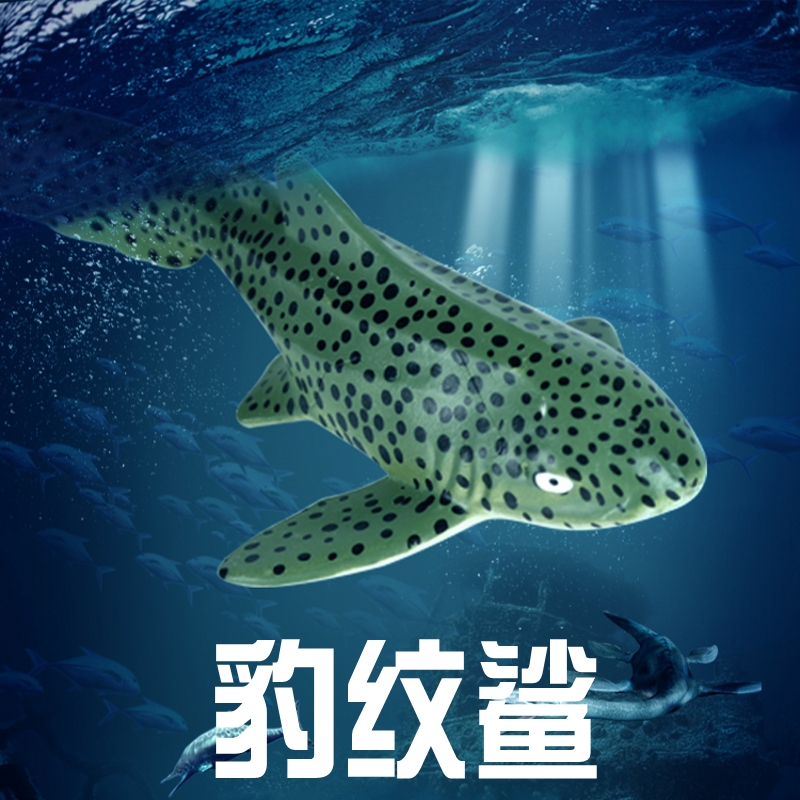 儿童深海鲨鱼玩具豹纹鲨模型大尾虎鲛海洋古生物仿真动物锤头鲨