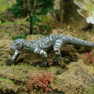 儿童动物玩具科莫多巨蜥模型魔龙实心仿真蜥蜴男孩认知摆件礼物